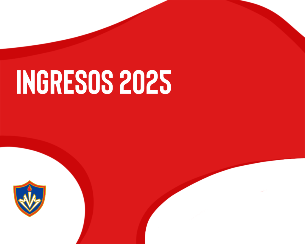 ingresos 2025